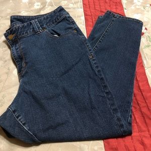 Lane Bryant skinny jeans